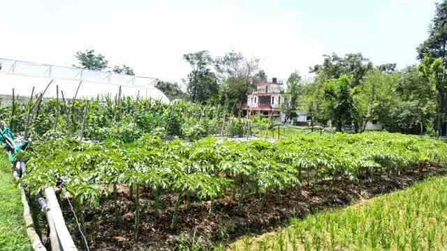 प्राकृतिक खेती खुशहाल किसान योजना से बदली सुनील कुमार की किस्मत, जानें कैसे उठाएं लाभ 1 Prakritik Kheti Khushhal Kisan Yojana 3