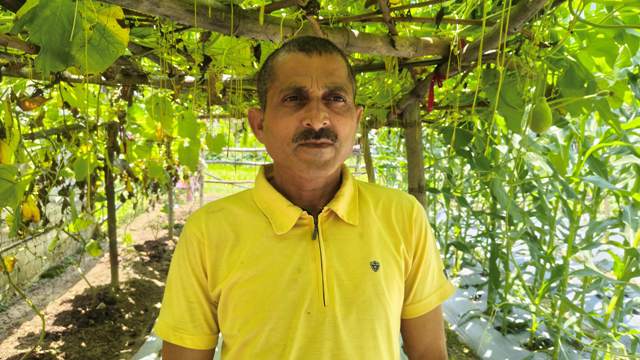 प्राकृतिक खेती खुशहाल किसान योजना से बदली सुनील कुमार की किस्मत, जानें कैसे उठाएं लाभ प्राकृतिक खेती खुशहाल किसान योजना के तहत खेत में काम करते हिमाचल के किसान सुनील कुमार