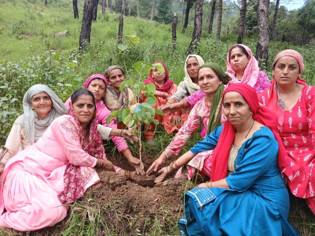 राजीव गांधी वन संवर्धन योजना