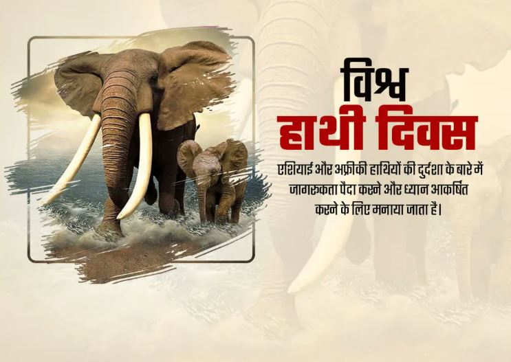 12 अगस्त का इतिहास: भारत और विश्व इतिहास में 12 अगस्त की प्रमुख घटनाएं 8 विश्व हाथी दिवस